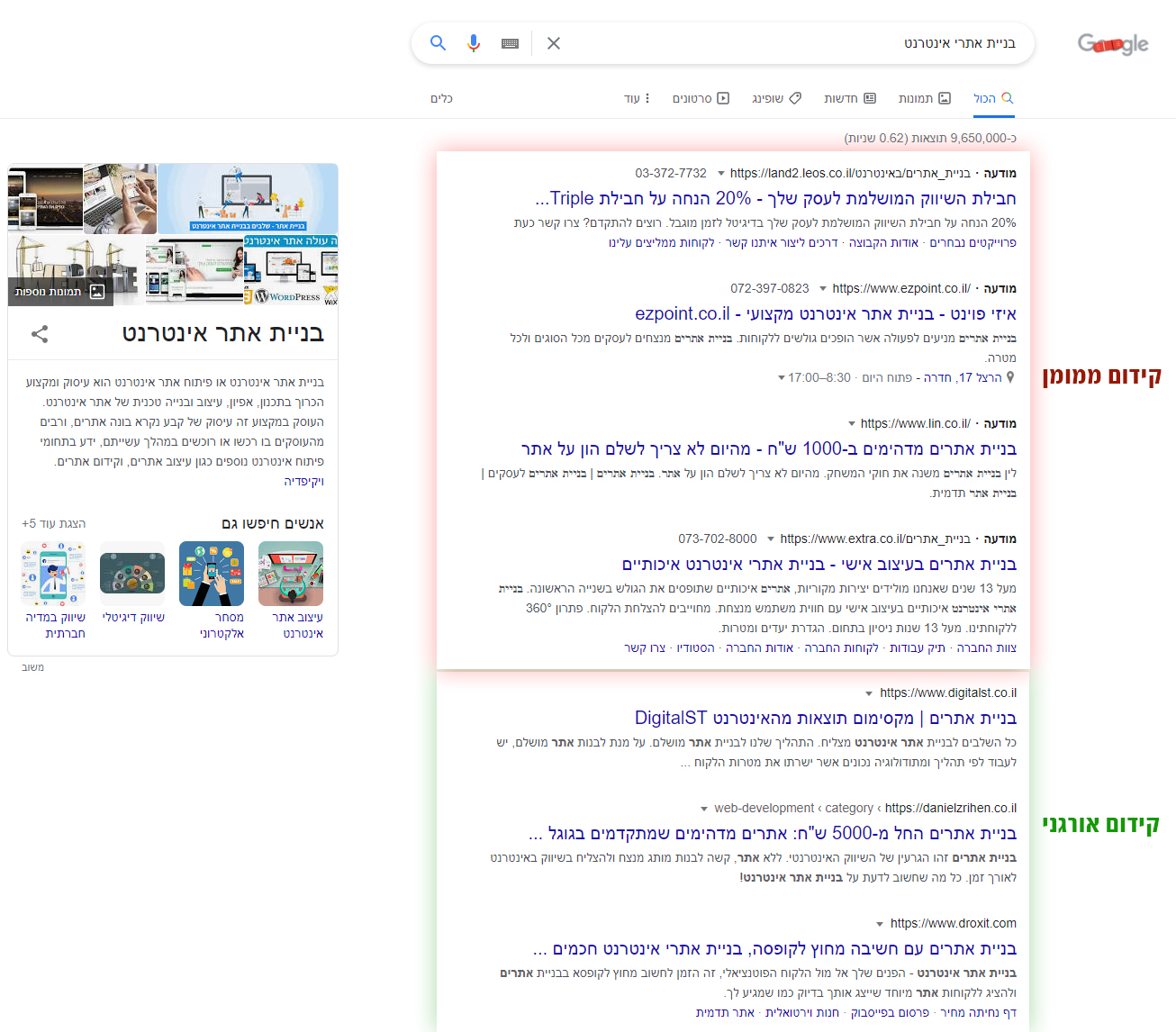 קידום אורגני או ממומן?